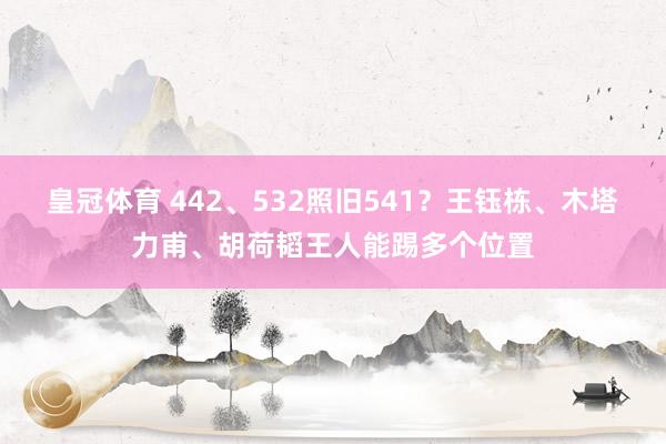 皇冠体育 442、532照旧541？王钰栋、木塔力甫、胡荷韬王人能踢多个位置