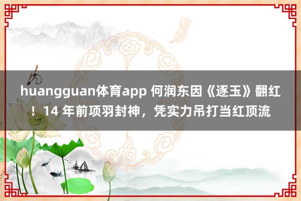 huangguan体育app 何润东因《逐玉》翻红！14 年前项羽封神，凭实力吊打当红顶流