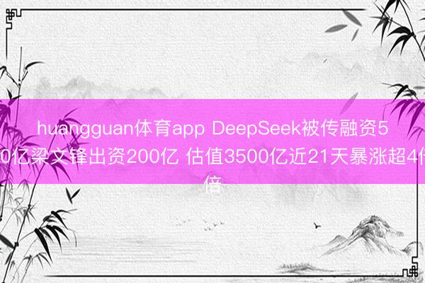 huangguan体育app DeepSeek被传融资500亿梁文锋出资200亿 估值3500亿近21天暴涨超4倍