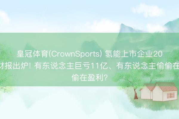 皇冠体育(CrownSports) 氢能上市企业2025年财报出炉! 有东说念主巨亏11亿、有东说念主偷偷在盈利?