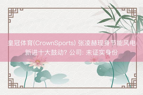 皇冠体育(CrownSports) 张凌赫现身节能风电新进十大鼓动? 公司: 未证实身份