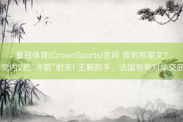 皇冠体育(CrownSports)官网 背刺郑丽文? 党内2把“冷箭”射来! 王毅脱手、法国匆匆对华交底