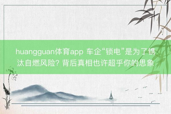 huangguan体育app 车企“锁电”是为了镌汰自燃风险? 背后真相也许超乎你的思象