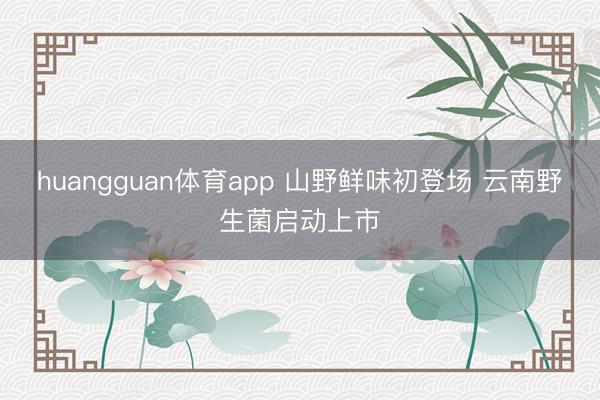 huangguan体育app 山野鲜味初登场 云南野生菌启动上市