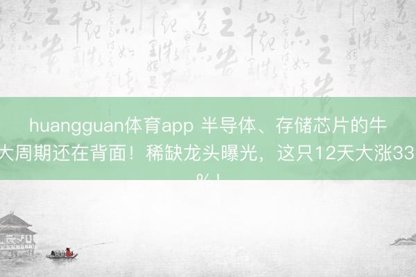 huangguan体育app 半导体、存储芯片的牛市大周期还在背面！稀缺龙头曝光，这只12天大涨33%！
