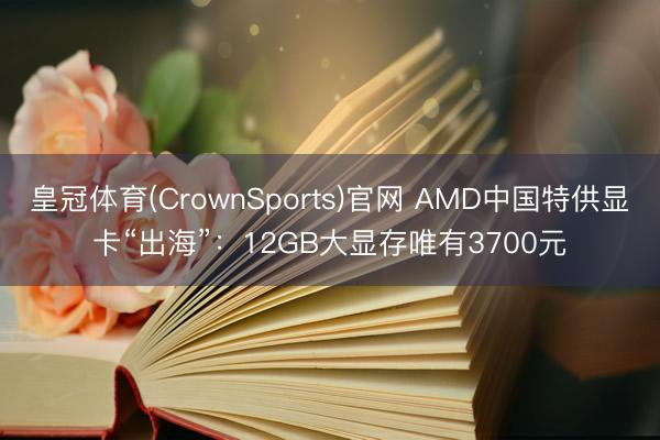 皇冠体育(CrownSports)官网 AMD中国特供显卡“出海”：12GB大显存唯有3700元