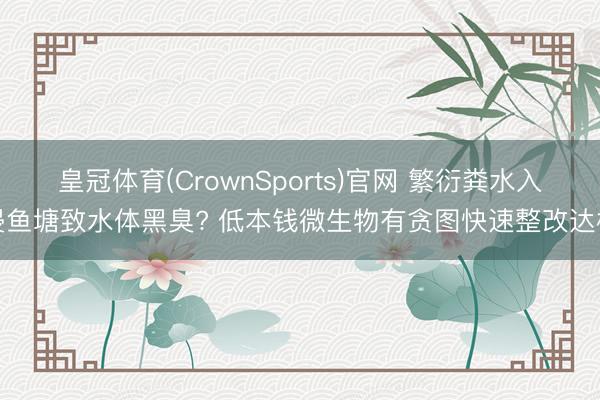皇冠体育(CrownSports)官网 繁衍粪水入侵鱼塘致水体黑臭? 低本钱微生物有贪图快速整改达标