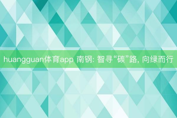 huangguan体育app 南钢: 智寻“碳”路， 向绿而行